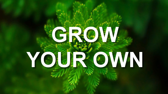 Grow Your Own