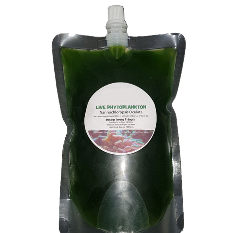 Nannochloropsis Oculata&nbsp;&nbsp;500ml Live Phytoplankton