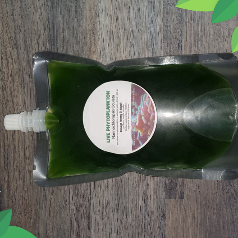 Buy Live Phytoplankton